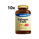 Ficha técnica e caractérísticas do produto Kit c/ 10 Collagen Caps Colágeno 120 Cápsulas - Vitaminlife