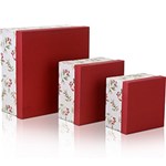 Ficha técnica e caractérísticas do produto Kit C/ 3 Caixas Presente Quadrada - Vermelho - Importado