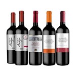 Ficha técnica e caractérísticas do produto Kit de Vinho Seleção Vivavinho 5 Garrafas
