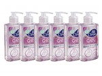 Ficha técnica e caractérísticas do produto Kit Gel Antisséptico Hi Clean Extrato de Rosas 250ml - 6 Un