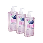 Ficha técnica e caractérísticas do produto Kit Gel Antisséptico Hi Clean Extrato de Rosas 250ml - 3 Un