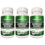 Ficha técnica e caractérísticas do produto Kit 3 Ginkgo Biloba - Semprebom - 60 Cápsulas