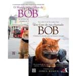 Kit Livros - Coleção Gato Bob (2 Livros)