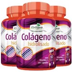 Ficha técnica e caractérísticas do produto Kit 3x Colágeno Hidrolisado com Vitamina C 60 Cápsulas - Katigua