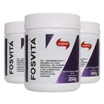 Ficha técnica e caractérísticas do produto Kit 3x Fosvita (Pote) 250g - Vitafor