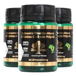 Ficha técnica e caractérísticas do produto Kit 3x Vitaminas C & e com Própolis 85% Extrato Seco 60 Cápsulas - Wax Green - 500MG