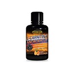 Ficha técnica e caractérísticas do produto L-Carnitina Androxycut Power Supplements - Laranja