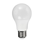 Ficha técnica e caractérísticas do produto Lâmpada Led Bulbo Plástico 7w E27 Branco Frio