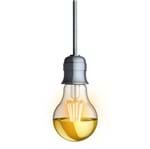 Ficha técnica e caractérísticas do produto Lâmpada LED de Filamento Bulbo Luz Amarela 4W Ouro Xanlite Bivolt
