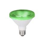 Ficha técnica e caractérísticas do produto Lâmpada LED PAR30 Luz Verde 10W Lexman Bivolt