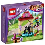 Ficha técnica e caractérísticas do produto Lego Friends Área de Lavagem do Potro 41123 - Lego