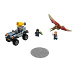 Ficha técnica e caractérísticas do produto Lego Jurassic World - Pteranodon Chase 75926