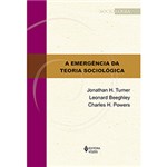 Ficha técnica e caractérísticas do produto Livro - a Emergência da Teoria Sociológica