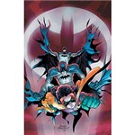 Ficha técnica e caractérísticas do produto Livro - Absolute Batman & Robin: Batman Reborn