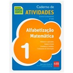 Ficha técnica e caractérísticas do produto Livro - Alfabetização Matemática: Ensino Fundamental - 1º Ano - Caderno de Atividades