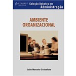 Ficha técnica e caractérísticas do produto Livro - Ambiente Organizacional