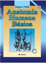 Ficha técnica e caractérísticas do produto Livro - Anatomia Humana Básica