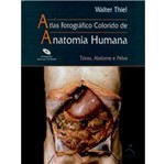 Ficha técnica e caractérísticas do produto Livro - Atlas Anatomia Humana