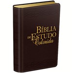 Ficha técnica e caractérísticas do produto Livro - Bíblia de Estudo Colorida - Vinho