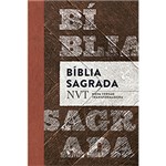 Ficha técnica e caractérísticas do produto Livro - Bíblia Sagrada: Nvt Nova Versão Trasnformadora (Madeira)