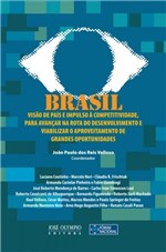 Ficha técnica e caractérísticas do produto Livro - Brasil: Visão de País e Impulso à Competitividade