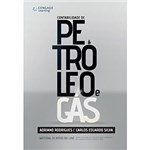 Ficha técnica e caractérísticas do produto Livro - Contabilidade de Petróleo e Gás