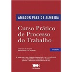 Ficha técnica e caractérísticas do produto Livro - Curso Prático de Processo do Trabalho