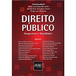 Ficha técnica e caractérísticas do produto Livro ; Direito Público - Perspectivas e Atualidades