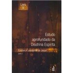 Ficha técnica e caractérísticas do produto Livro - Estudo Aprofundado da Doutrina Espirita