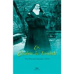 Ficha técnica e caractérísticas do produto Livro - Eu, Elisabete da Trindade