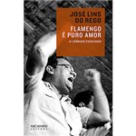 Ficha técnica e caractérísticas do produto Livro - Flamengo é Puro Amor