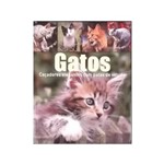 Ficha técnica e caractérísticas do produto Livro Gatos - Caçadores Elegantes com Pata