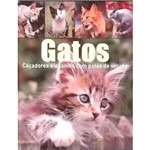Ficha técnica e caractérísticas do produto Livro - Gatos