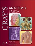 Ficha técnica e caractérísticas do produto Livro - Gray's Anatomia Básica