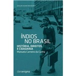 Livro - Índios no Brasil