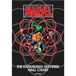 Ficha técnica e caractérísticas do produto Livro - Marvel: The Expanding Universe Wall Chart