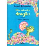 Ficha técnica e caractérísticas do produto Livro - Meu Primeiro Dragão