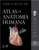 Ficha técnica e caractérísticas do produto Livro - Netter - Atlas de Anatomia Humana