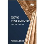 Livro Novo Testamento - um Panorama