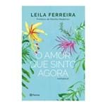 Ficha técnica e caractérísticas do produto Livro o Amor que Sinto Agora - Romance Leila Ferreira