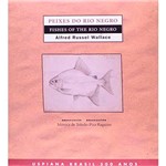 Ficha técnica e caractérísticas do produto Livro - Peixes do Rio Negro