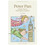 Ficha técnica e caractérísticas do produto Livro - Peter Pan & Peter Pan In Kensington Gardens