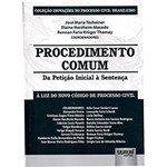 Ficha técnica e caractérísticas do produto Livro - Procedimento Comum : da Petição Inicial à Sentença