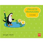Ficha técnica e caractérísticas do produto Livro - Projeto Primavera - 4 a 5 Anos - Educação Infantil