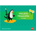 Ficha técnica e caractérísticas do produto Livro - Projeto Primavera - Educação Infantil - 4 a 5 Anos