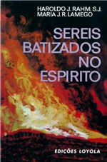Ficha técnica e caractérísticas do produto Livro - Sereis Batizados no Espírito