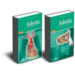 Ficha técnica e caractérísticas do produto Livro - Sobotta - Atlas de Anatomia Humana - 2 Volumes