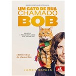 Ficha técnica e caractérísticas do produto Livro - um Gato de Rua Chamado Bob: a História Real que Deu Origem ao Filme