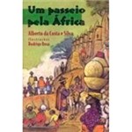 Ficha técnica e caractérísticas do produto Livro - um Passeio Pela África