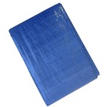 Ficha técnica e caractérísticas do produto Lona Carreteiro 4x4m Leve Azul Starfer